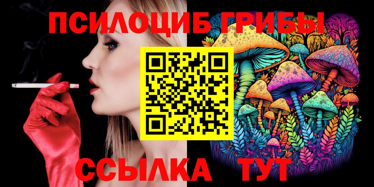 Псилоцибиновые грибы мицелий  сколько стоит  Тула  Псилоцибиновые грибы Cubensis  Вход с VPN 